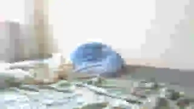 Snapshot of NimFF123 chatting on December 2024 09:56:02 AM NimFF123 online show from December 2024 09:56:02 AM