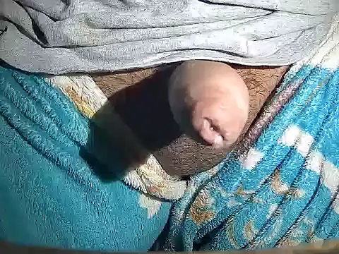 MyOsitobebe online show from February 2026 07:39:02 PM