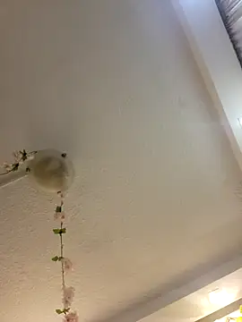 Snapshot of Lau1127 chatting on February 2026 11:08:02 PM Lau1127 online show from February 2026 11:08:02 PM