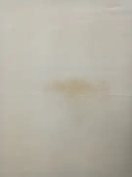 Rina777o online show from January 2025 06:31:01 PM