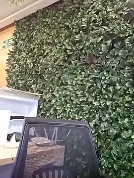   JaviJavi online show from March 2026 11:11:02 PM