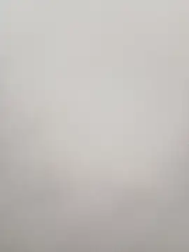 El baby12 online show from January 2026 11:59:02 AM