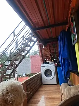 amazonafit  online show from August 2026 08:11:02 PM