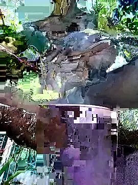 Snapshot of gwadaa9 chatting on December 2025 06:16:01 PM gwadaa9 online show from December 2025 06:16:01 PM