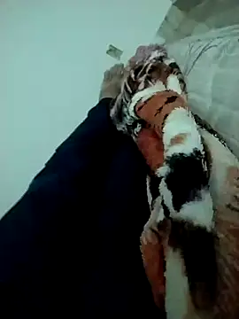 Snapshot of lm279 chatting on February 2025 03:47:02 PM lm279 online show from February 2025 03:47:02 PM