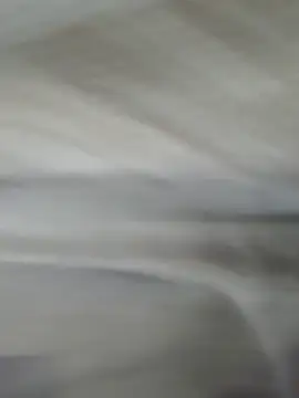 Snapshot of lm279 chatting on November 2025 03:58:02 PM lm279 online show from November 2025 03:58:02 PM