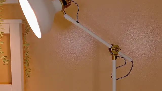 ParisFox  online show from March 2026 02:04:02 AM