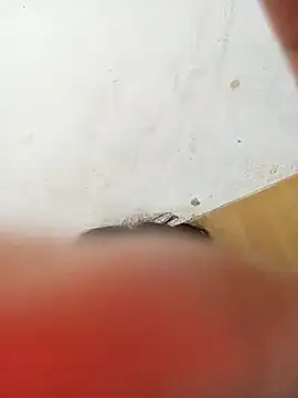 Snapshot of ambarlennoix chatting on January 2025 10:34:02 AM ambarlennoix online show from January 2025 10:34:02 AM