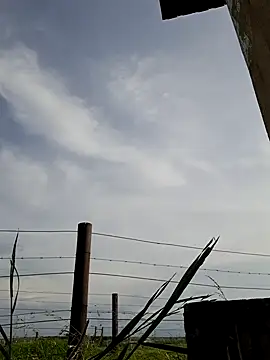 Snapshot of bull_Giant chatting on December 2024 02:49:01 PM bull Giant online show from December 2024 02:49:01 PM