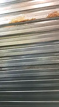 Snapshot of bull_Giant chatting on January 2025 09:36:01 PM bull Giant online show from January 2025 09:36:01 PM