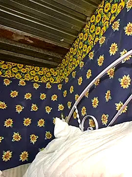 Snapshot of bull_Giant chatting on February 2025 02:47:01 AM bull Giant online show from February 2025 02:47:01 AM