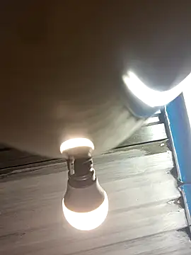 Snapshot of bull_Giant chatting on February 2025 10:21:02 PM bull Giant online show from February 2025 10:21:02 PM