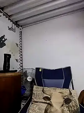 Snapshot of bull_Giant chatting on February 2025 08:43:02 PM bull Giant online show from February 2025 08:43:02 PM