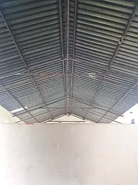 Snapshot of bull_Giant chatting on February 2025 11:42:02 AM bull Giant online show from February 2025 11:42:02 AM