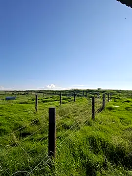 Snapshot of bull_Giant chatting on February 2025 03:03:02 PM bull Giant online show from February 2025 03:03:02 PM