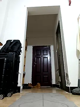 Snapshot of DDYY12341 chatting on November 2025 11:58:01 AM DDYY12341 online show from November 2025 11:58:01 AM