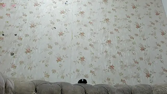 Snapshot of fer_dz chatting on January 2025 11:56:02 AM fer dz online show from January 2025 11:56:02 AM