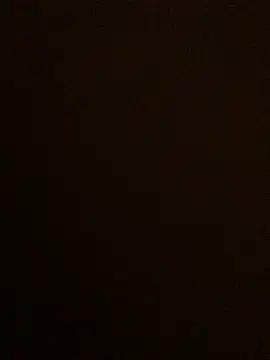 Snapshot of Lona_Lina chatting on January 2025 12:28:02 PM Lona Lina online show from January 2025 12:28:02 PM