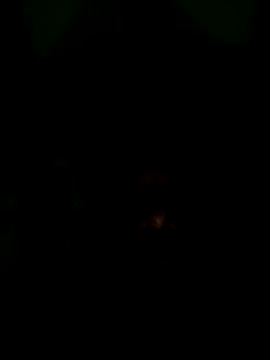 Snapshot of Long_Laster chatting on February 2026 06:03:01 PM Long Laster online show from February 2026 06:03:01 PM