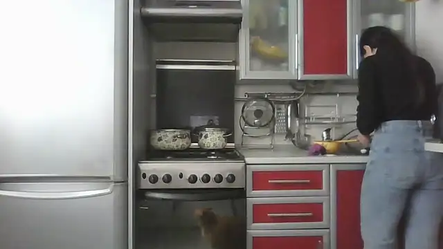 Kashtanka  online show from March 2026 08:53:02 AM