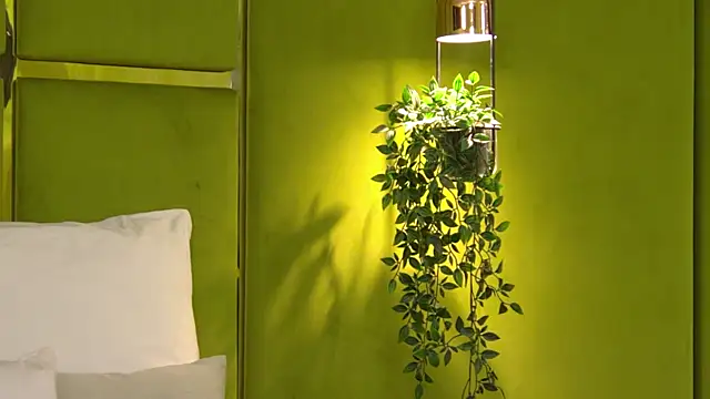 NattyDevon online show from April 2026 05:29:02 AM