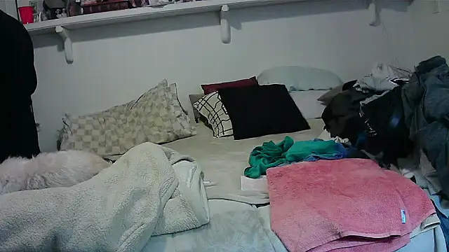 Snapshot of Hand69someguy chatting on November 2025 12:55:01 AM Hand69someguy online show from November 2025 12:55:01 AM