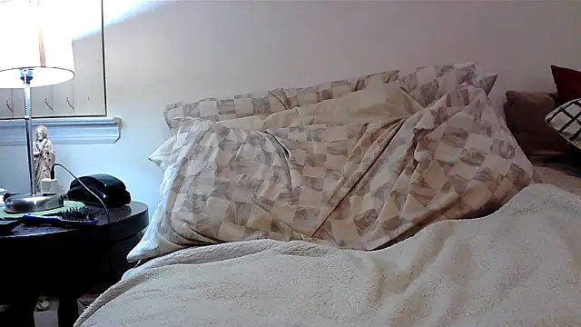 Snapshot of Hand69someguy chatting on December 2025 03:48:01 AM Hand69someguy online show from December 2025 03:48:01 AM