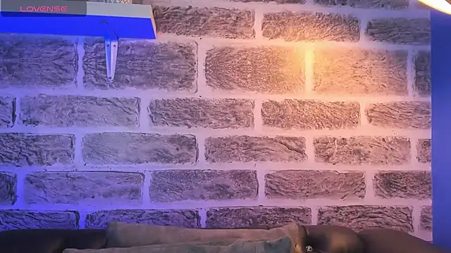 noah ricci online show from October 2025 12:50:01 PM