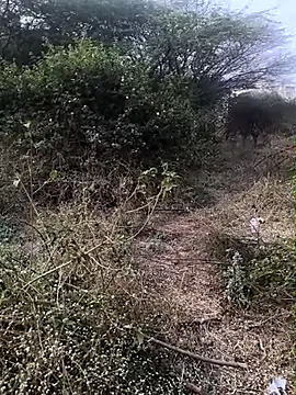 Abinash7732 online show from February 2026 03:05:02 AM