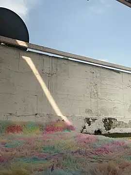 suzanelee online show from March 2025 02:05:02 PM