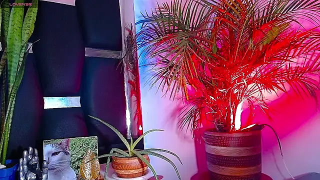 Snapshot of RyanRizzo chatting on January 2025 07:24:01 PM RyanRizzo online show from January 2025 07:24:01 PM