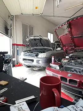 Snapshot of donnuozfutura chatting on February 2025 12:44:02 PM donnuozfutura online show from February 2025 12:44:02 PM