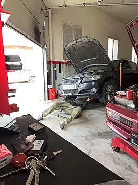 Snapshot of donnuozfutura chatting on February 2025 11:49:01 AM donnuozfutura online show from February 2025 11:49:01 AM