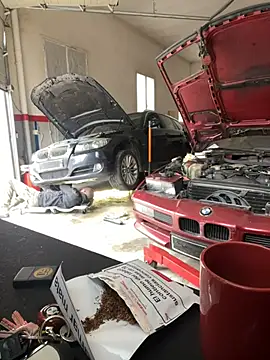 Snapshot of donnuozfutura chatting on February 2025 12:25:02 PM donnuozfutura online show from February 2025 12:25:02 PM