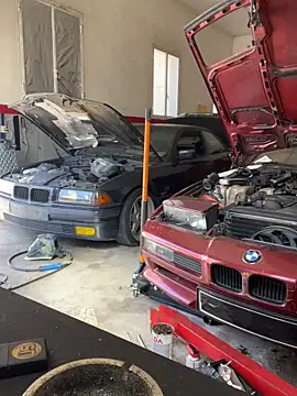 Snapshot of donnuozfutura chatting on March 2025 12:22:01 PM donnuozfutura online show from March 2025 12:22:01 PM