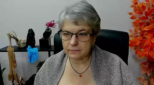 Snapshot of IrisDream chatting on December 2024 11:04:02 AM IrisDream online show from December 2024 11:04:02 AM