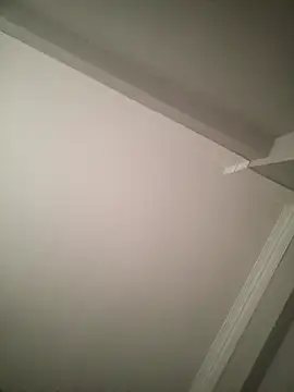 boy 3835 online show from March 2025 05:02:01 AM