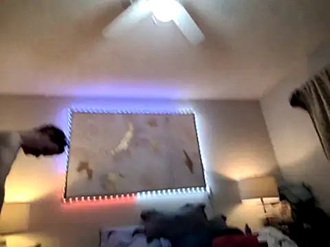 big8dall online show from March 2026 03:19:02 PM