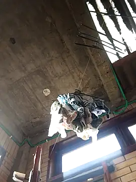 gigolopez1 online show from February 2026 12:14:02 PM