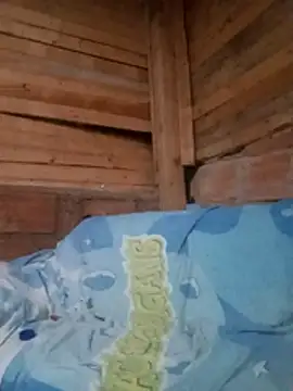 D  alex20 online show from March 2026 02:48:01 AM