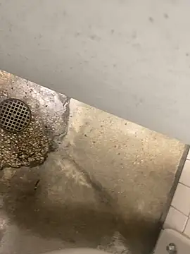 Snapshot of zeekBbc chatting on December 2024 08:38:02 PM zeekBbc online show from December 2024 08:38:02 PM