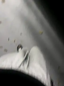 Snapshot of zeekBbc chatting on November 2025 10:43:02 AM zeekBbc online show from November 2025 10:43:02 AM