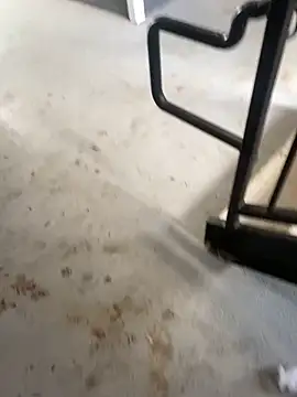 Snapshot of zeekBbc chatting on February 2026 09:25:02 PM zeekBbc online show from February 2026 09:25:02 PM