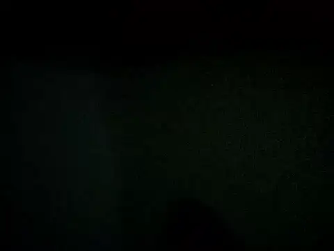 lilbishmiss online show from February 2025 12:19:02 PM