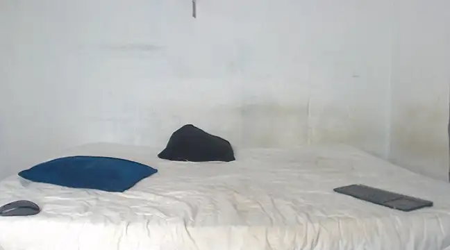 Snapshot of edwin_mosquera1 chatting on December 2024 03:09:02 PM edwin mosquera1 online show from December 2024 03:09:02 PM