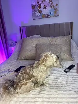 GraceCarther online show from April 2026 08:53:02 PM