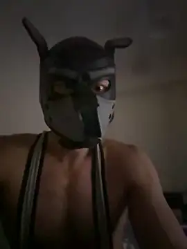 Snapshot of goodbtmlistentop chatting on February 2026 11:29:01 AM goodbtmlistentop online show from February 2026 11:29:01 AM