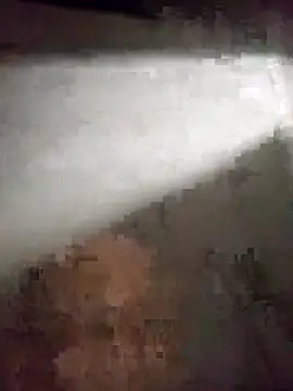 edijavimes online show from February 2026 04:20:02 AM