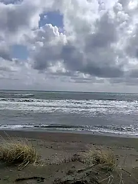 dhaadhawe online show from March 2026 11:59:02 AM