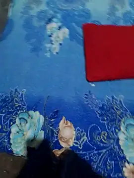 Snapshot of Mayevvi chatting on February 2026 08:14:02 PM Mayevvi online show from February 2026 08:14:02 PM